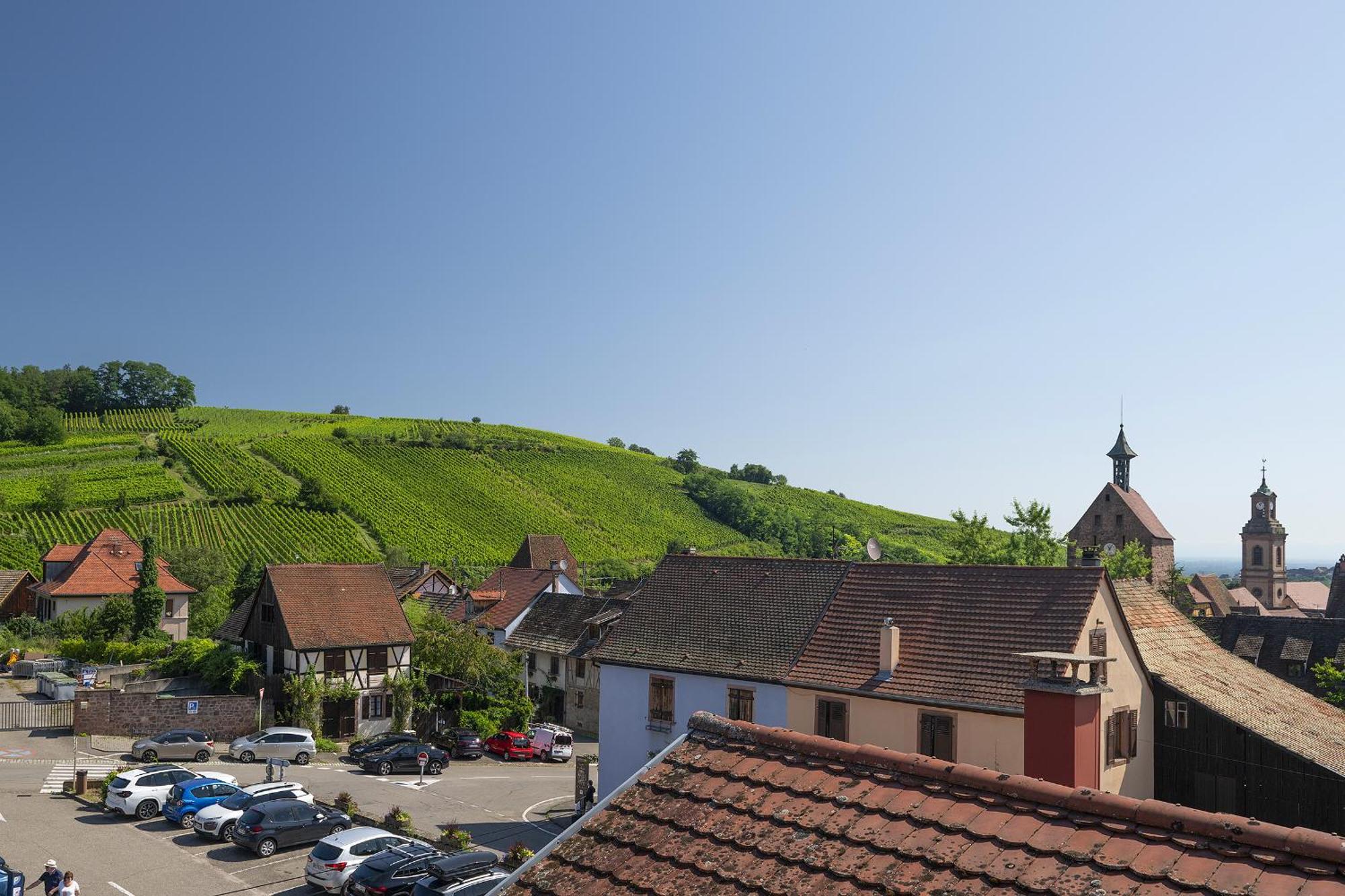 Ferienwohnung Riesling - Vue Imprenable Sur Le Vignoble - Renove Recemment - Parking Gratuit Riquewihr Exterior foto